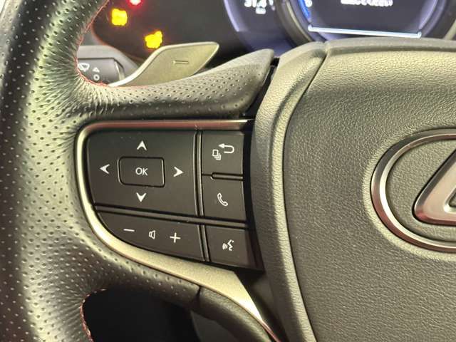 LEXUS UX250h AWD