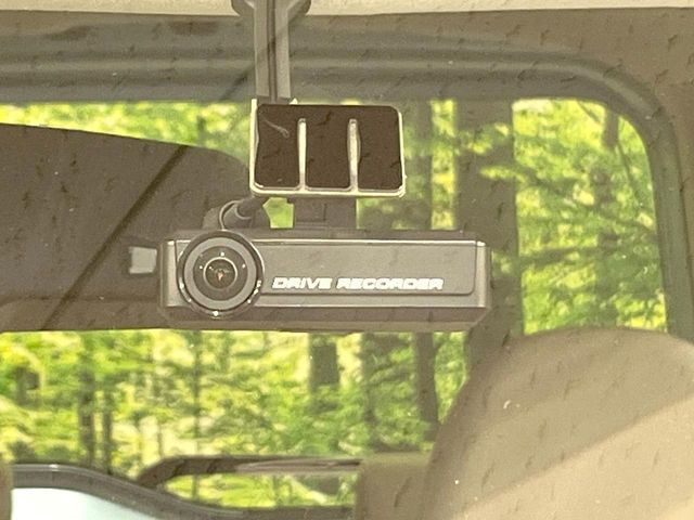 DAYZ ROOX