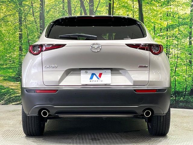 CX-30