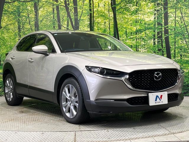 CX-30
