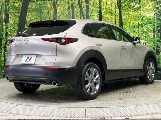 CX-30