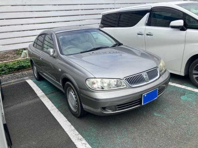 BLUEBIRD SYLPHY