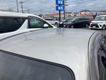 BLUEBIRD SYLPHY