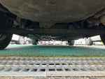 BLUEBIRD SYLPHY