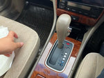BLUEBIRD SYLPHY