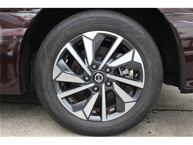 SERENA  WG