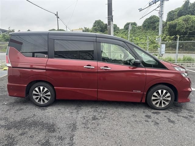 SERENA  S-HYBRID