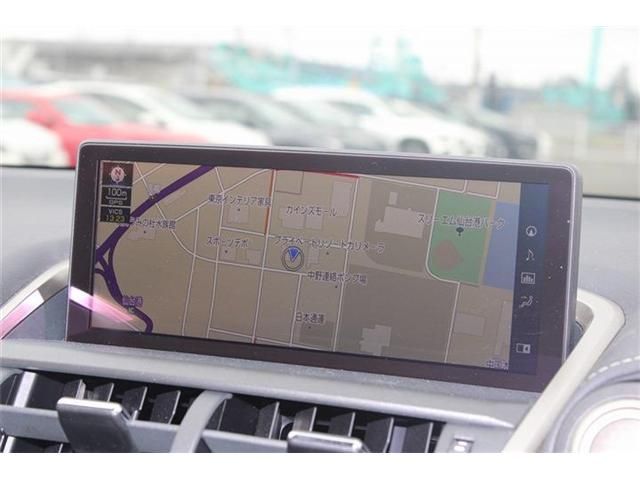 LEXUS NX300