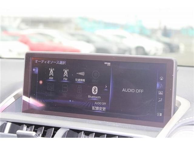 LEXUS NX300