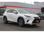 LEXUS NX300
