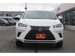LEXUS NX300