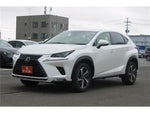 LEXUS NX300