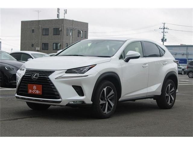LEXUS NX300