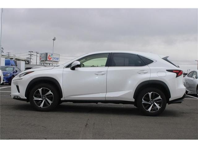 LEXUS NX300