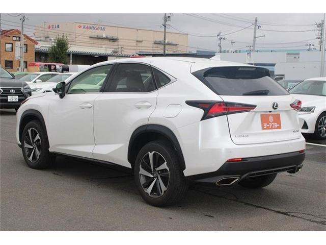 LEXUS NX300