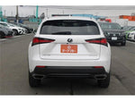 LEXUS NX300