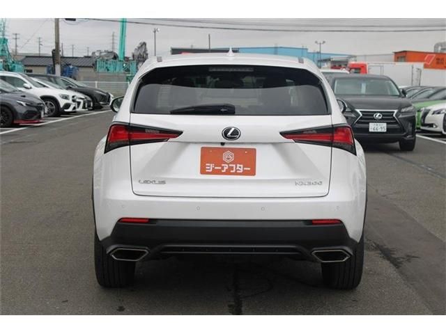LEXUS NX300
