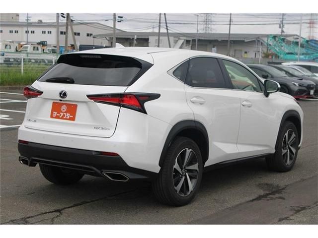LEXUS NX300