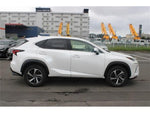 LEXUS NX300