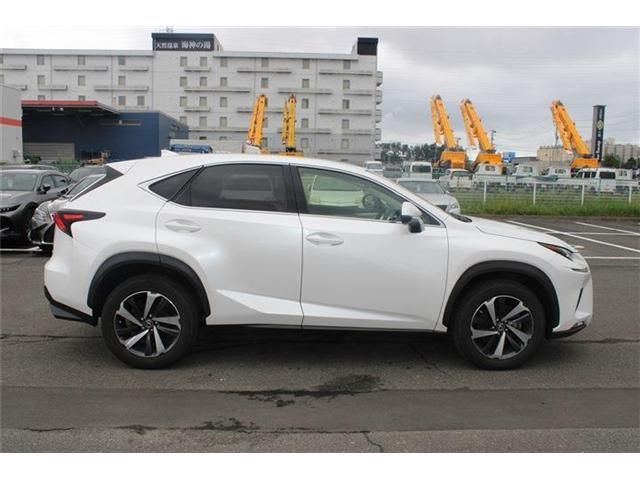 LEXUS NX300