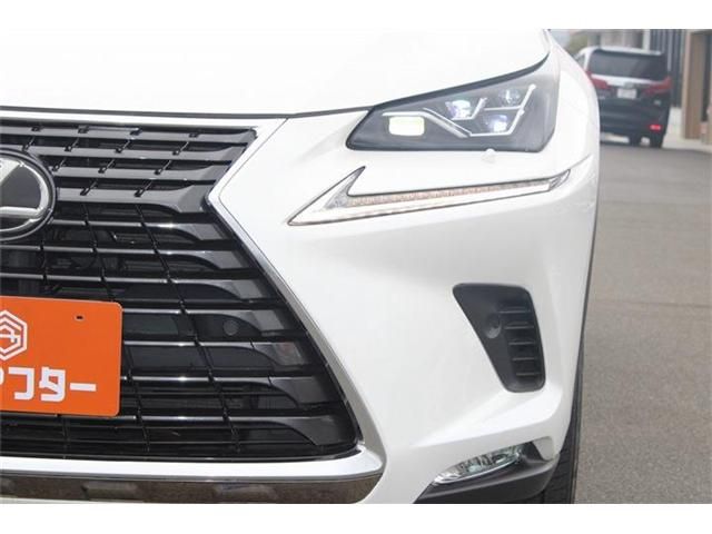 LEXUS NX300