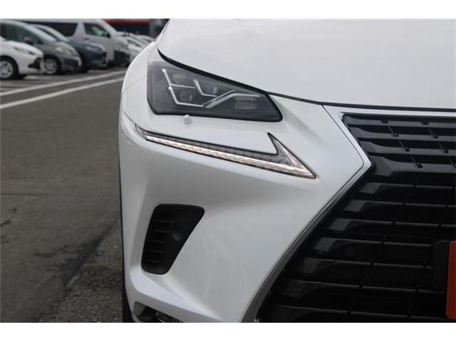 LEXUS NX300