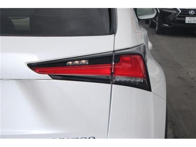 LEXUS NX300