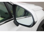 LEXUS NX300