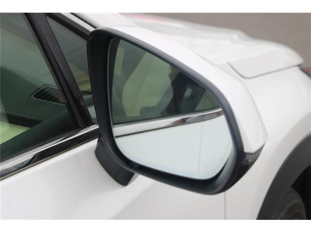 LEXUS NX300