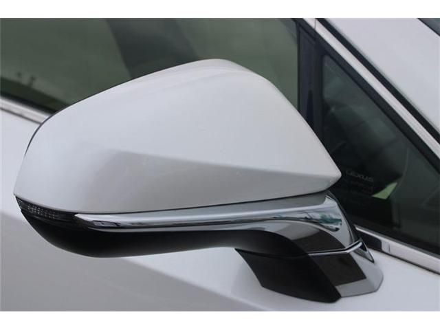LEXUS NX300