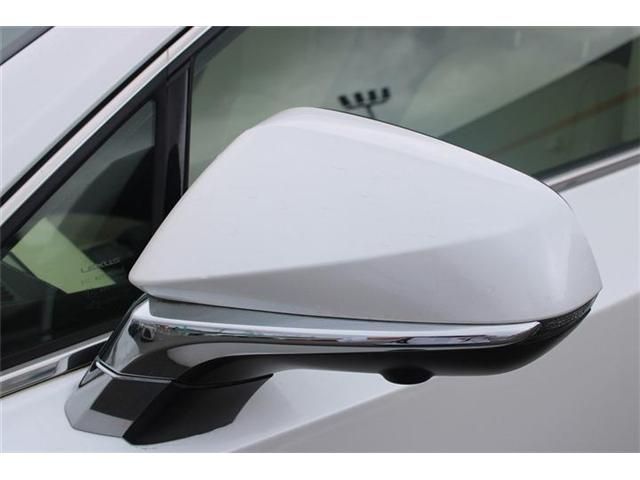 LEXUS NX300