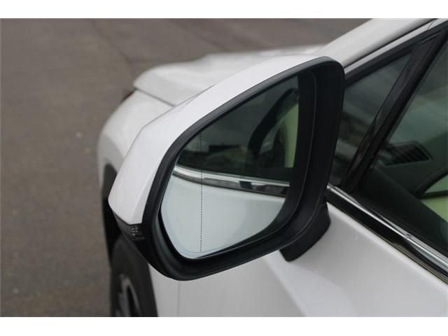 LEXUS NX300