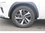 LEXUS NX300