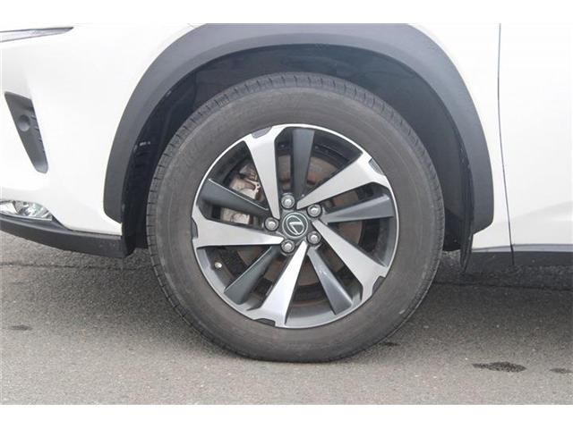 LEXUS NX300