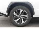 LEXUS NX300