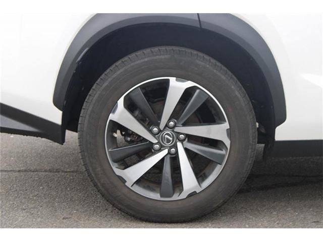 LEXUS NX300