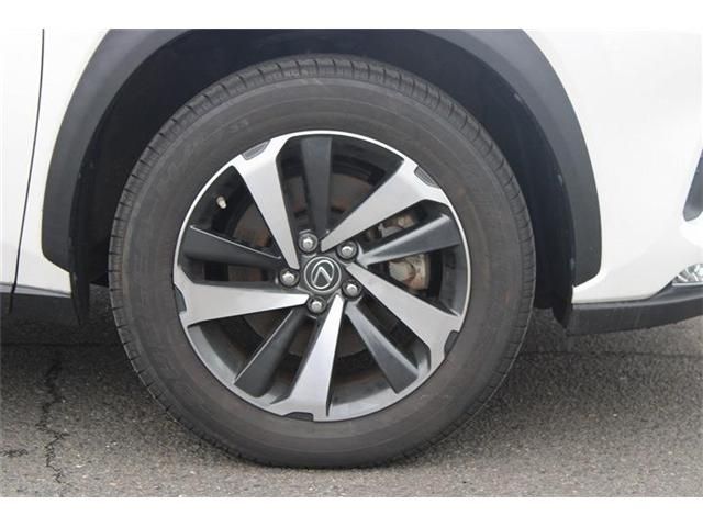 LEXUS NX300