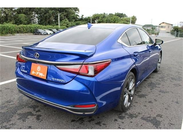 LEXUS ES300h