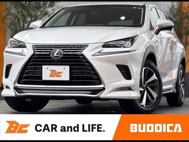 LEXUS NX300h