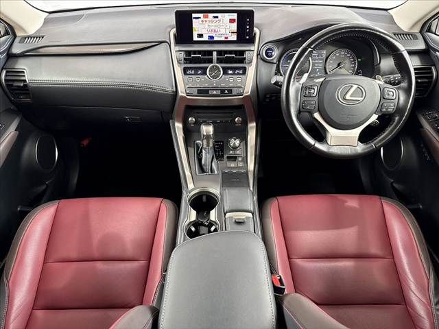 LEXUS NX300h
