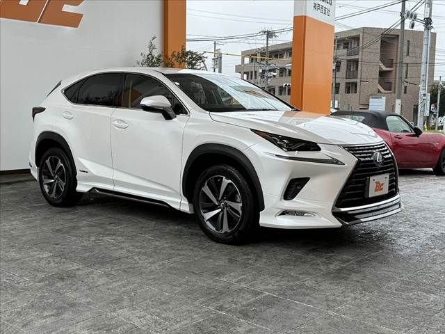 LEXUS NX300h