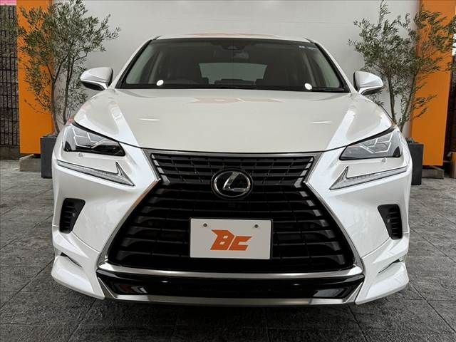 LEXUS NX300h