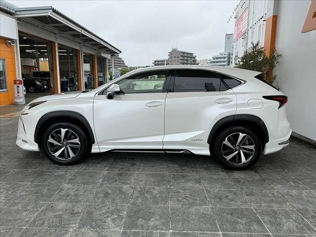 LEXUS NX300h
