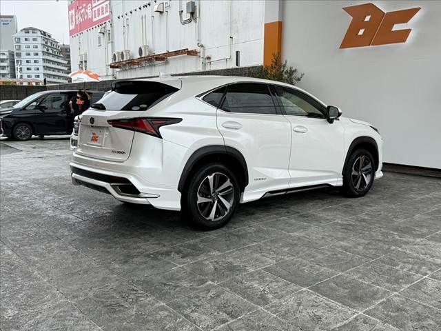 LEXUS NX300h