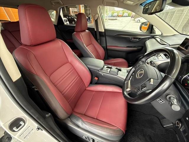 LEXUS NX300h