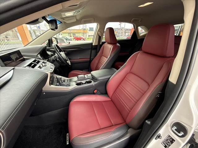 LEXUS NX300h