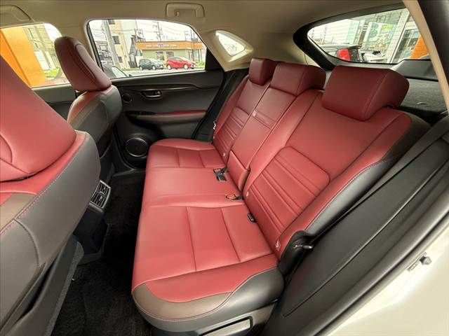 LEXUS NX300h