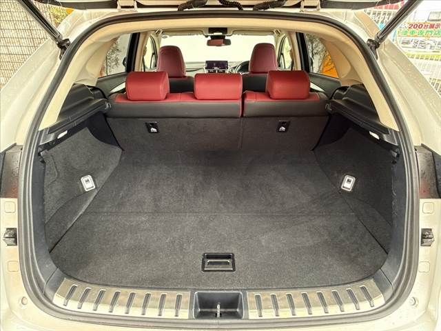 LEXUS NX300h