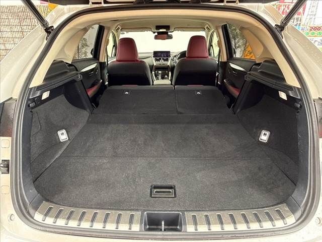 LEXUS NX300h