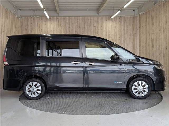 SERENA  S-HYBRID